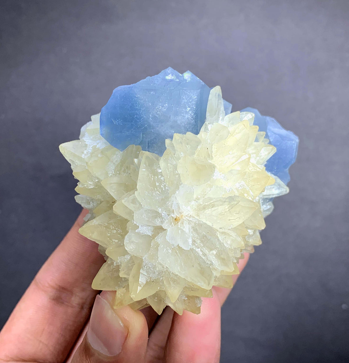 Blue Celestine Crystal on Yellow Calcite From Afghanistan - 170 Grams