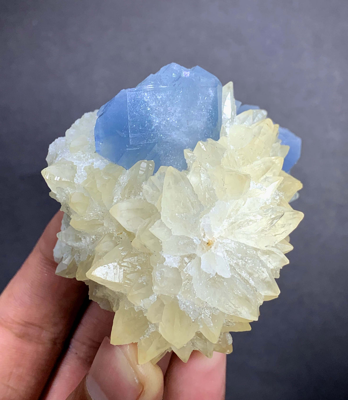 Blue Celestine Crystal on Yellow Calcite From Afghanistan - 170 Grams