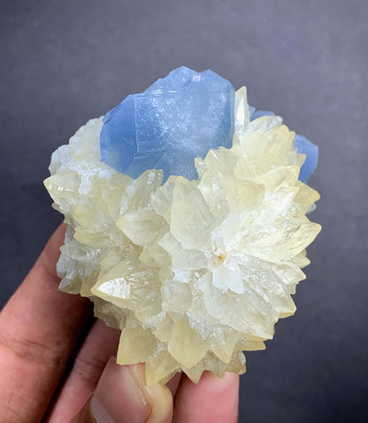 Blue Celestine Crystal on Yellow Calcite From Afghanistan - 170 Grams