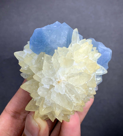 Blue Celestine Crystal on Yellow Calcite From Afghanistan - 170 Grams