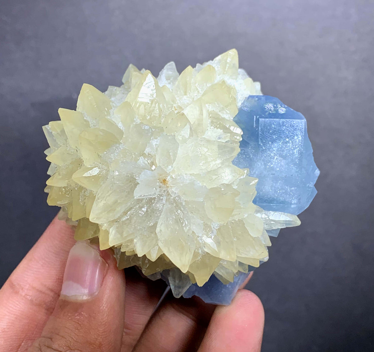 Blue Celestine Crystal on Yellow Calcite From Afghanistan - 170 Grams