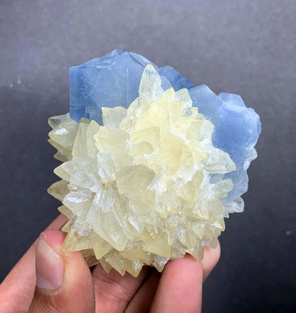 Blue Celestine Crystal on Yellow Calcite From Afghanistan - 170 Grams