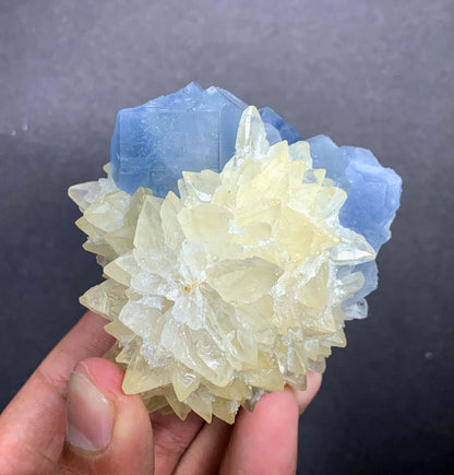 Blue Celestine Crystal on Yellow Calcite From Afghanistan - 170 Grams