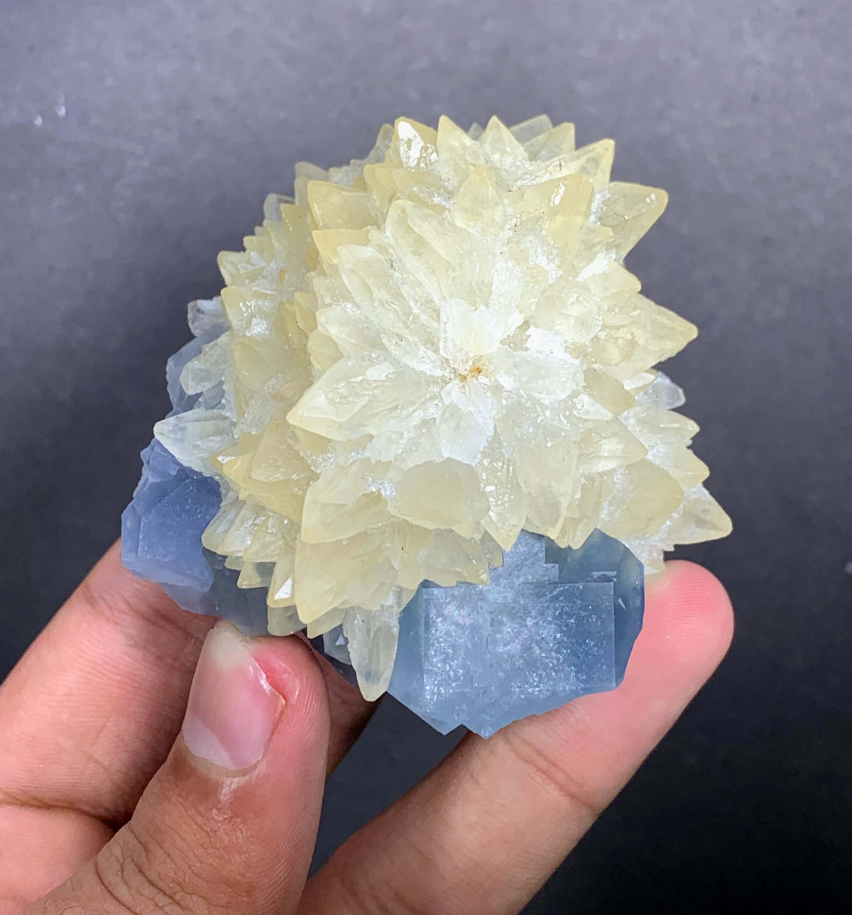Blue Celestine Crystal on Yellow Calcite From Afghanistan - 170 Grams