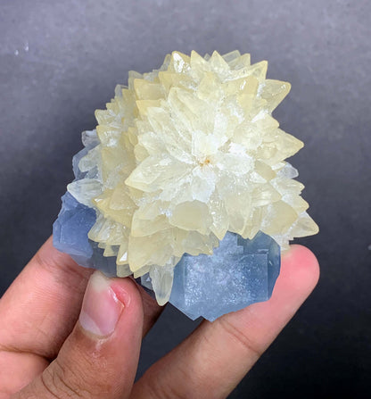 Blue Celestine Crystal on Yellow Calcite From Afghanistan - 170 Grams