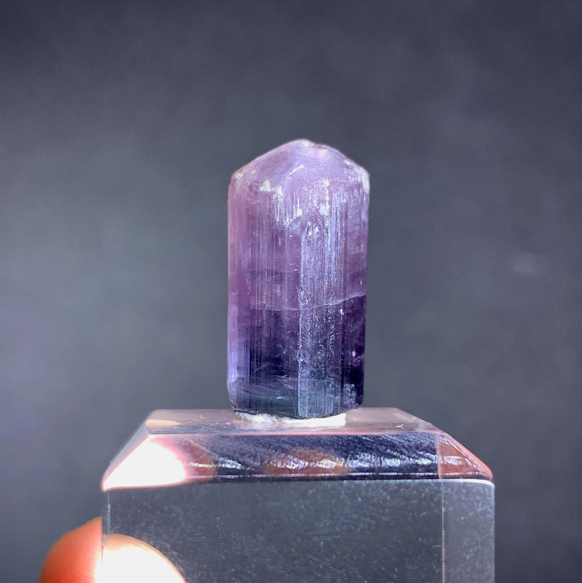 Purple Tourmaline Crystal From Afghanistan - 21.65 Carats