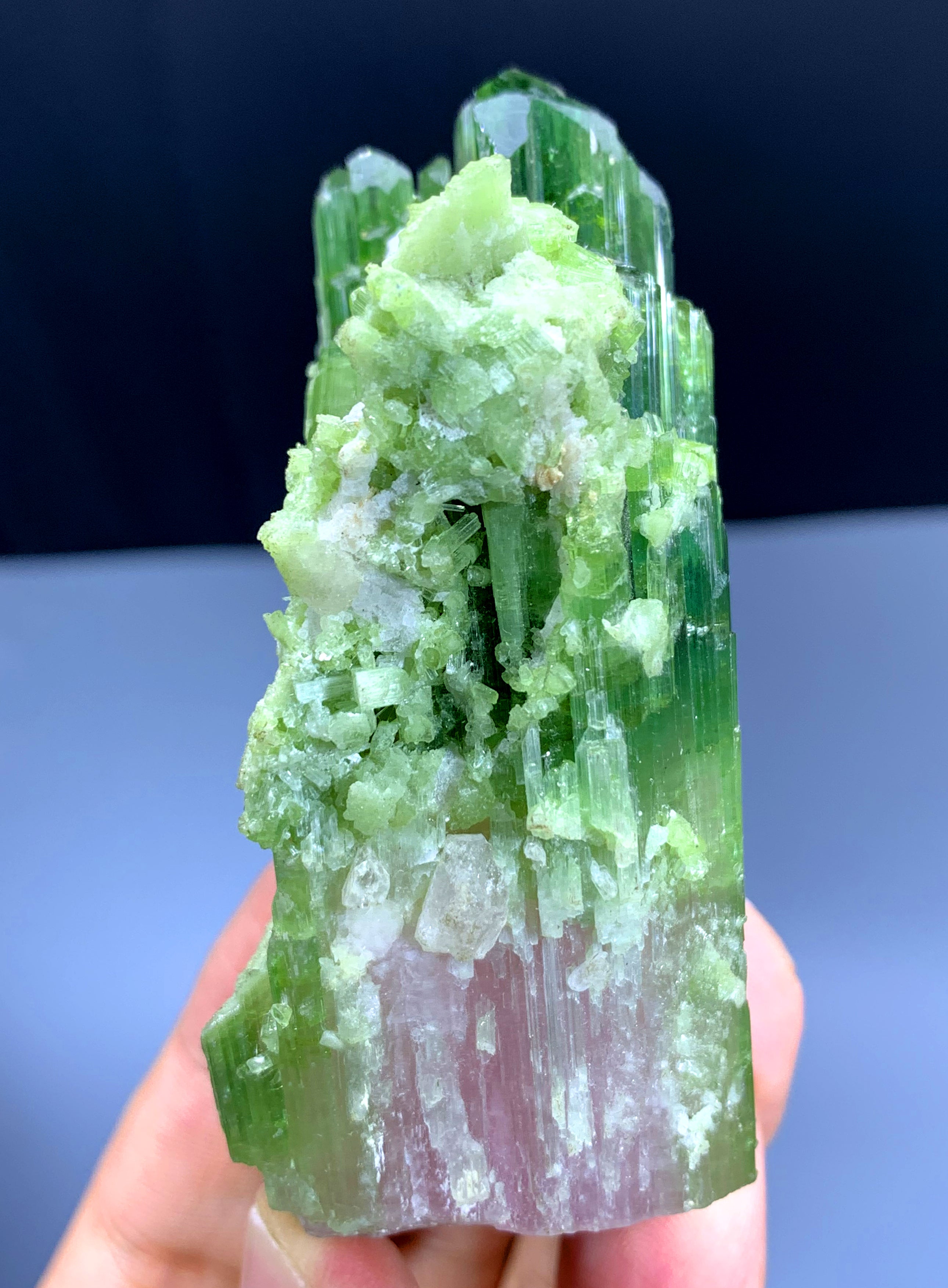 Natural Bicolor Tourmaline Crystal from Paprok Afghanistan - 135 gram