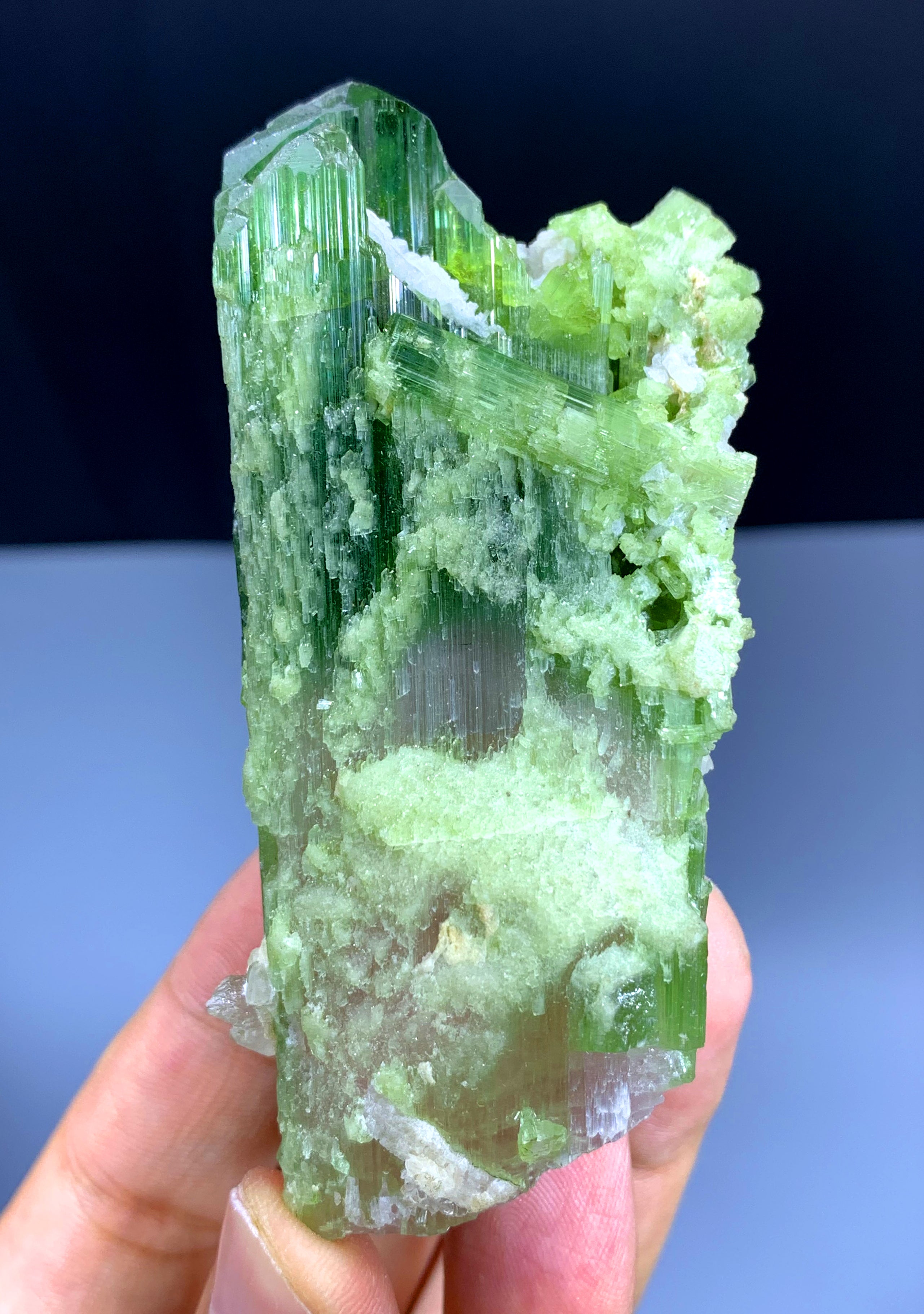 Natural Bicolor Tourmaline Crystal from Paprok Afghanistan - 135 gram