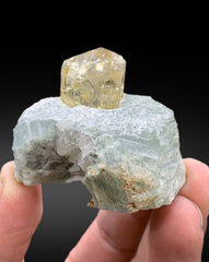 Natural Yellow Scapolite Crystal on Matrix from Afghanistan - 62 gram