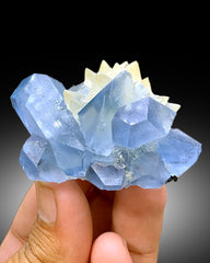 Natural Blue Color Celestine with Calcite, Celestine Specimen, Fine Mineral, Celestine from Baghdis, Mine Afghanistan - 117 gram