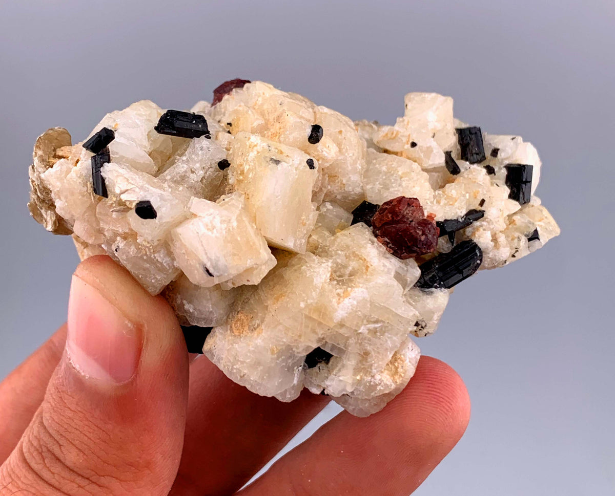 Red Garnet and Schorl Tourmaline Crystals on Feldspar From Pakistan - 112 Grams