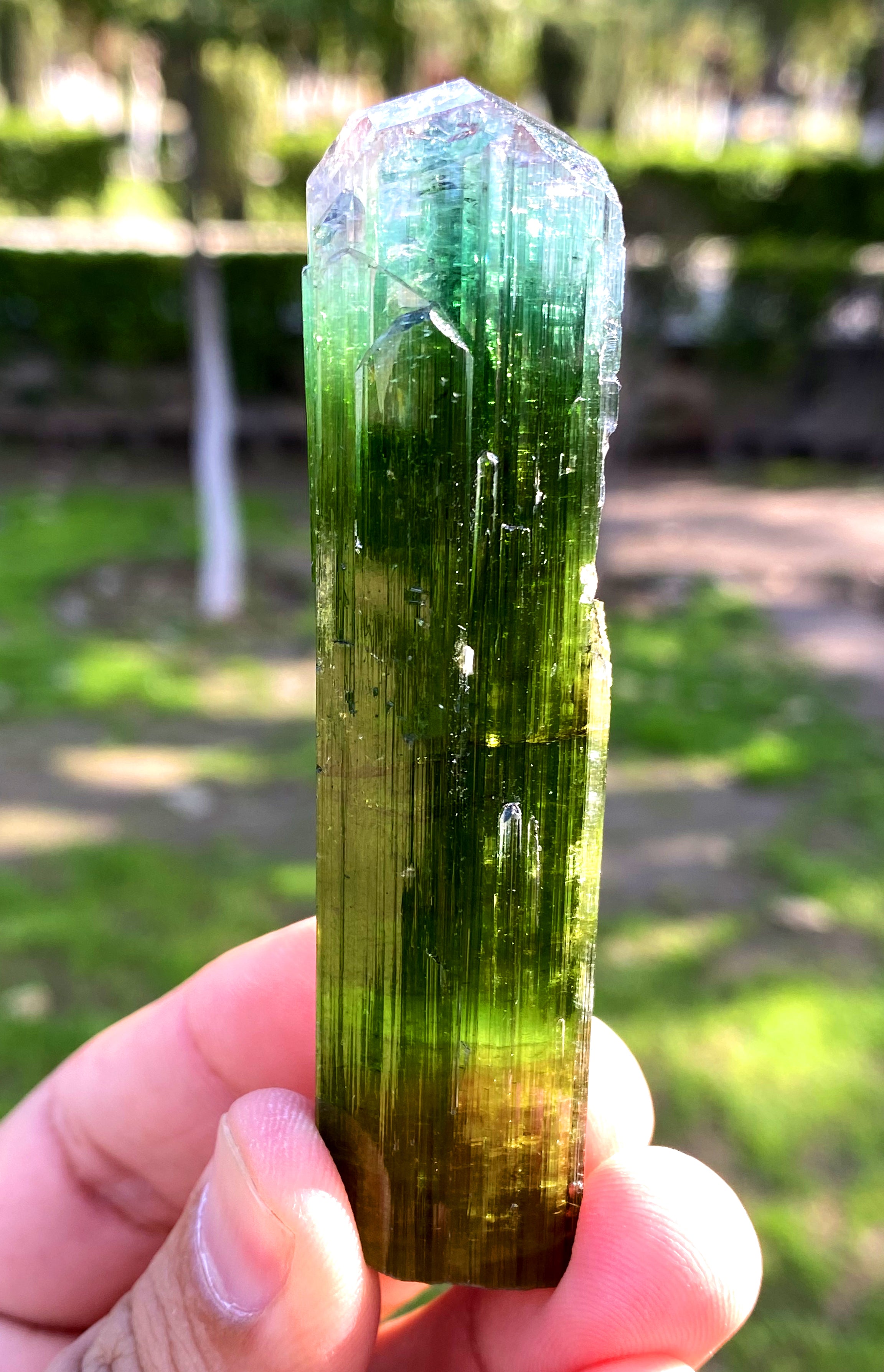 Exquisite Tricolor Tourmaline Crystal, Rainbow Tourmaline, Paproke Tourmaline, Crystal Specimen, Tourmaline Gemstone - 71 gram