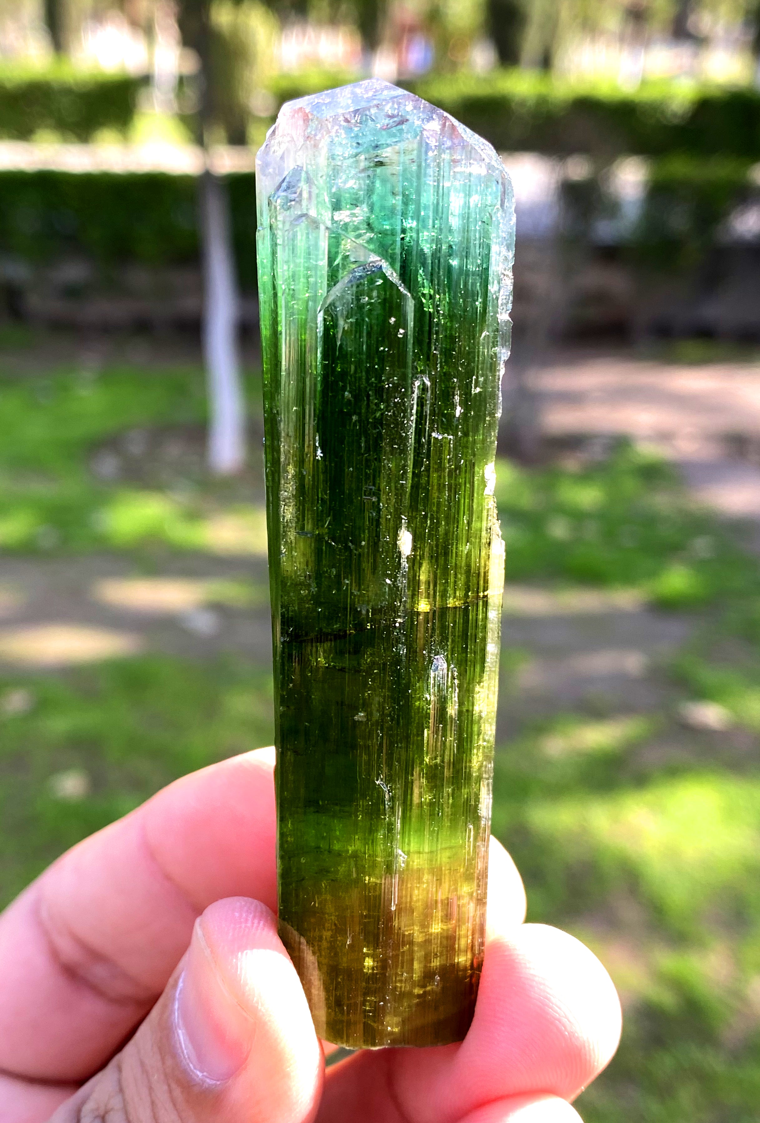 Exquisite Tricolor Tourmaline Crystal, Rainbow Tourmaline, Paproke Tourmaline, Crystal Specimen, Tourmaline Gemstone - 71 gram