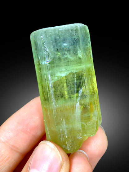 Natural Yellow Color Heliodor var Beryl Crystal, Raw Mineral, Crystal Specimen, Heliodor Crystal from Skardu Pakistan - 39 gram