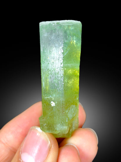 Natural Yellow Color Heliodor var Beryl Crystal, Raw Mineral, Crystal Specimen, Heliodor Crystal from Skardu Pakistan - 39 gram