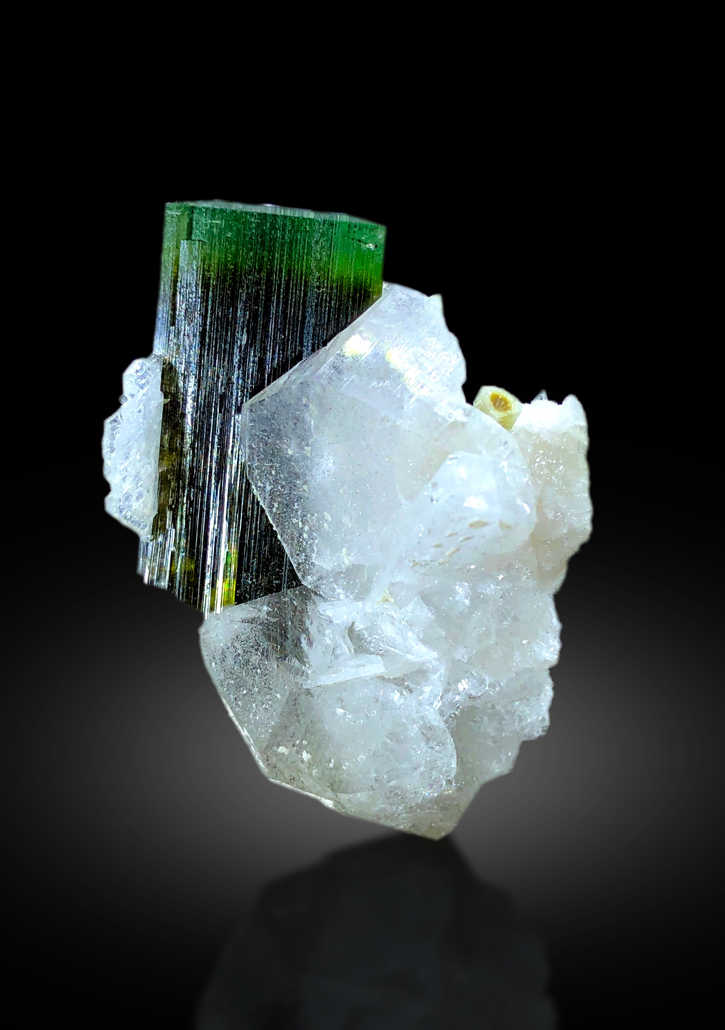 Natural Green Cap Tourmaline with Quartz, Tourmaline Specimen, Raw Mineral, Tourmaline from Astak Nala Mine Skardu Pakistan - 16 gram