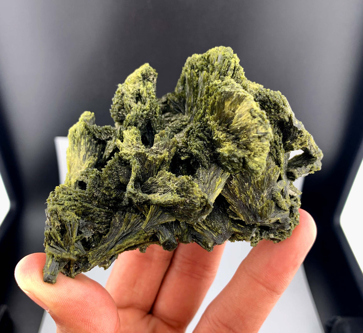 Tree Green Epidot Crystal From Pakistan - 212 Grams