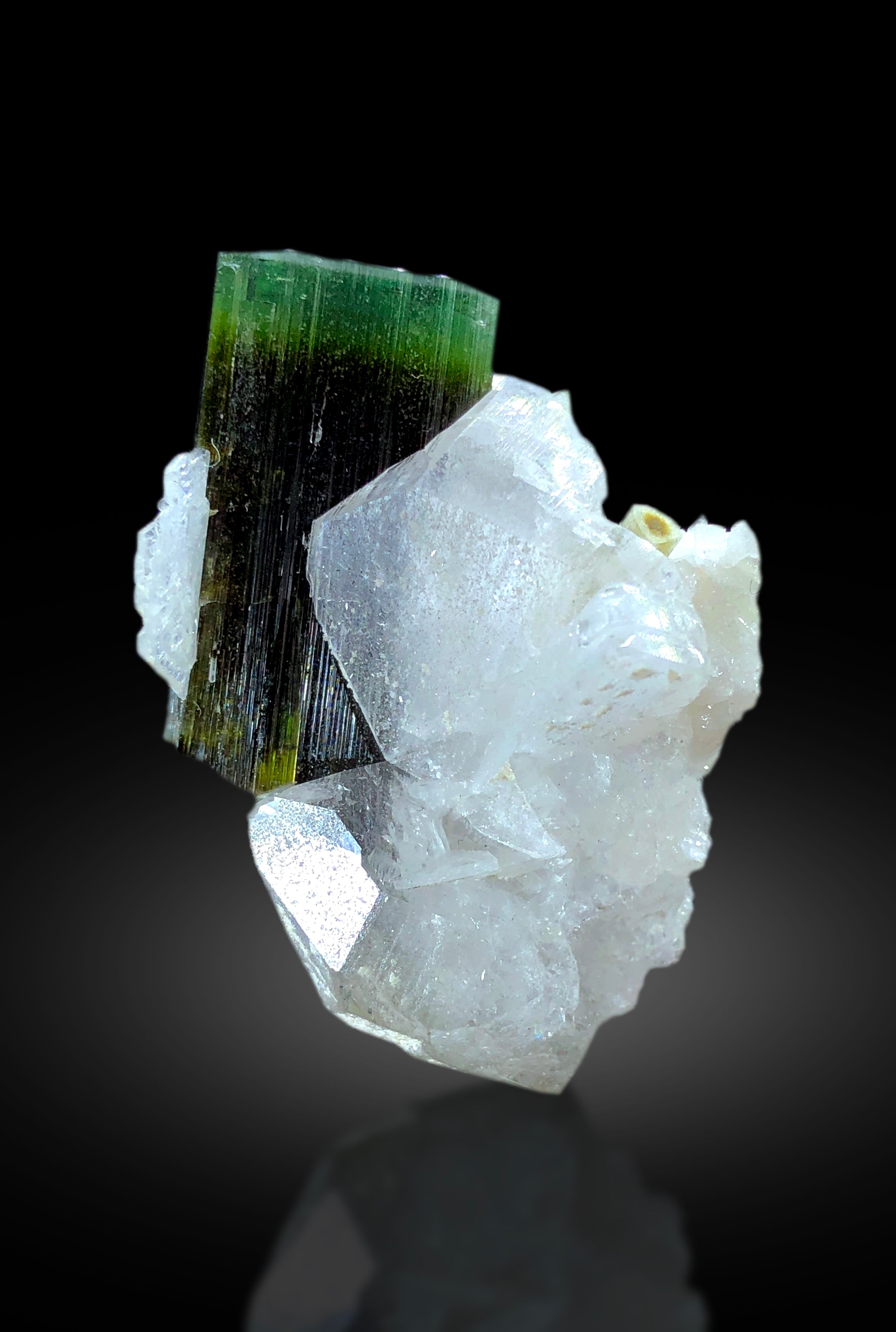 Natural Green Cap Tourmaline with Quartz, Tourmaline Specimen, Raw Mineral, Tourmaline from Astak Nala Mine Skardu Pakistan - 16 gram