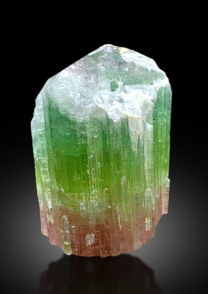 Natural Bicolor Tourmaline Crystal from Paprok Afghanistan - 102 gram