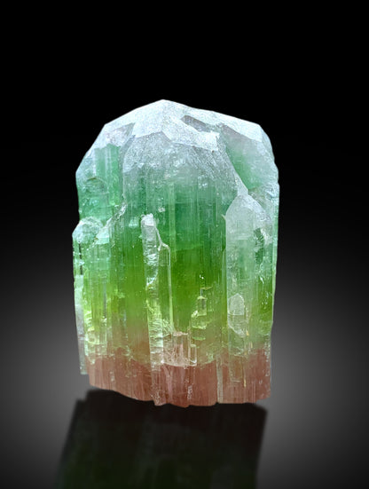 Natural Bicolor Tourmaline Crystal from Paprok Afghanistan - 102 gram