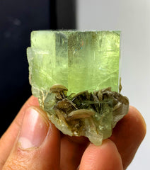 Natural Yellow Color Heliodor var Beryl with Mica from Pakistan - 48 gram