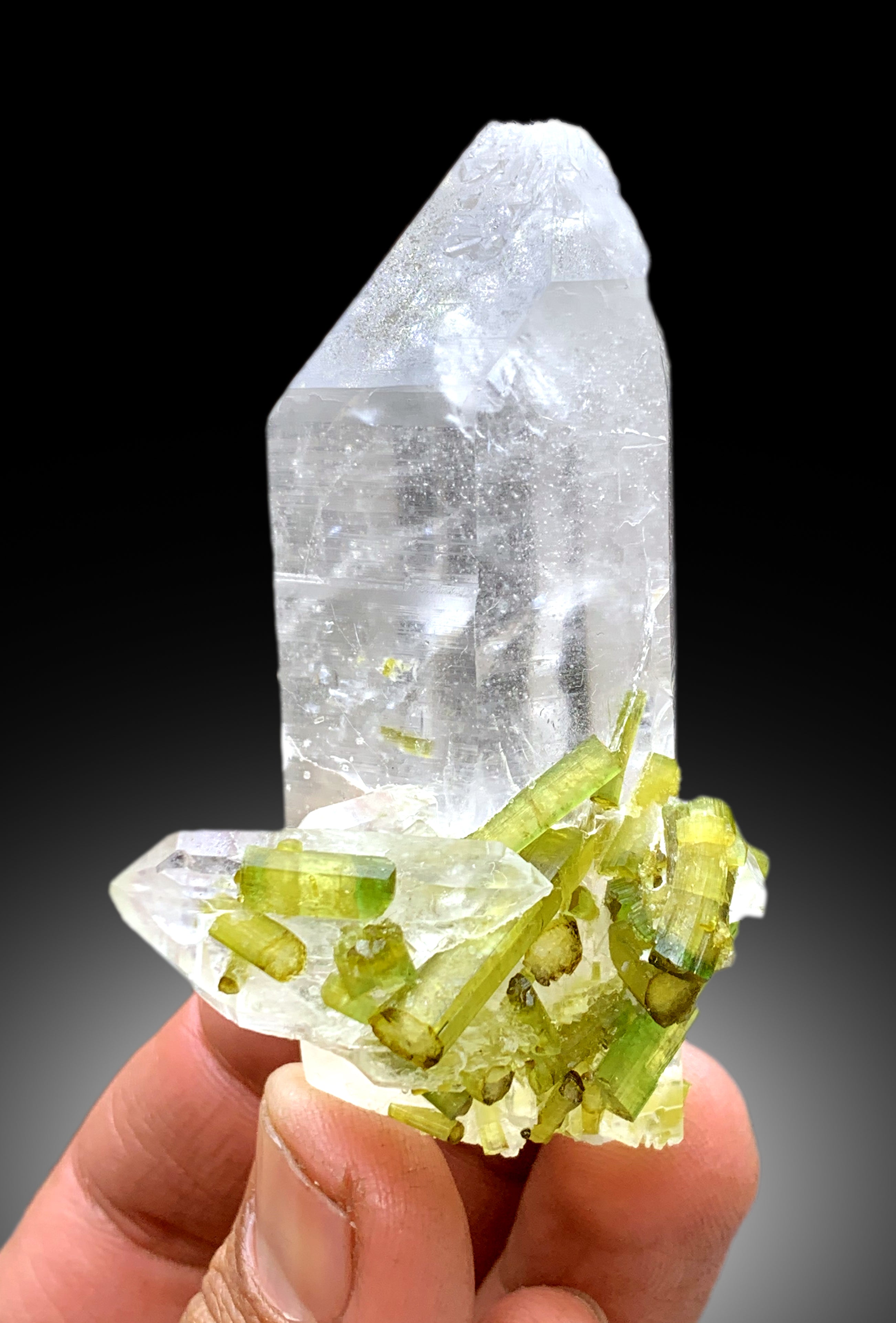 Lush Green Tourmaline Crystals on Quartz from Chapu Mine Skardu, Pakistan - 119 gram