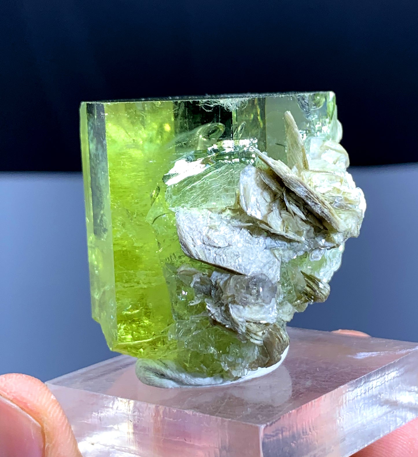 Yellow Heliodor var Beryl on Mica from Pakistan - 72 gram