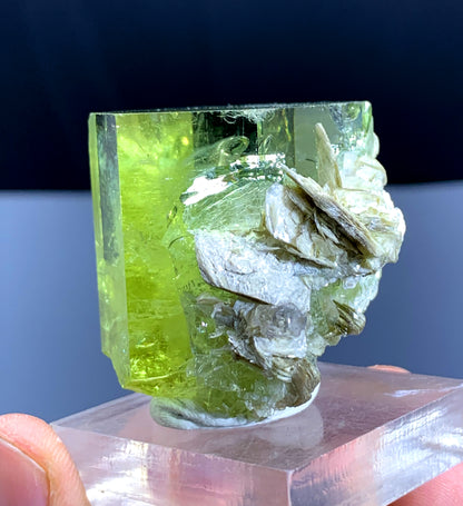 Yellow Heliodor var Beryl on Mica from Pakistan - 72 gram