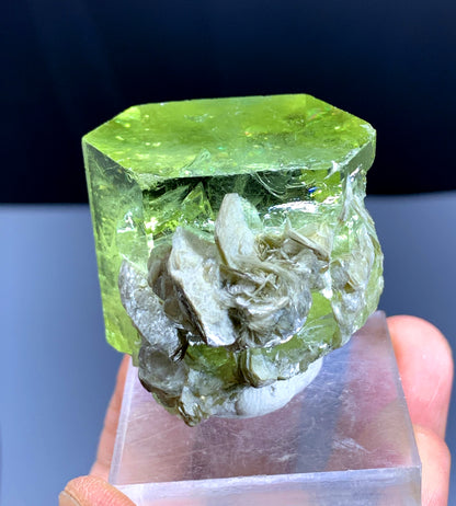 Yellow Heliodor var Beryl on Mica from Pakistan - 72 gram