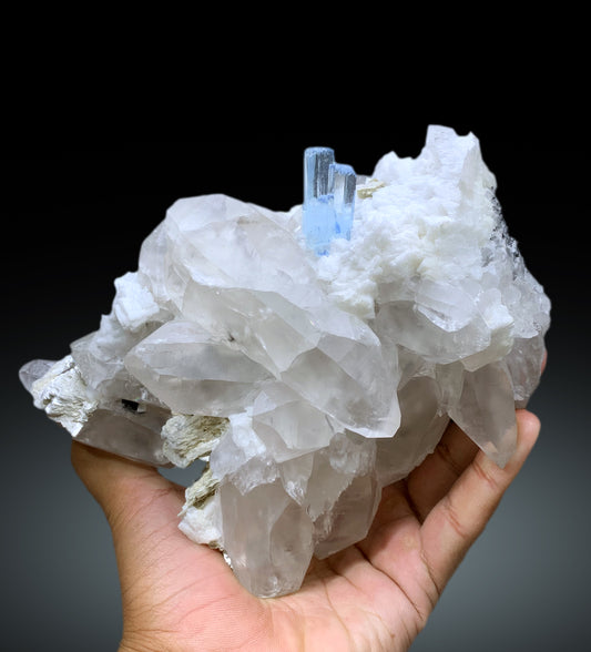 Sky Blue Ring Aquamarine Crystal on Quartz from Shigar valley Skardu Pakistan - 2167 gram