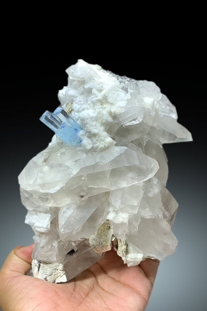 Sky Blue Ring Aquamarine Crystal on Quartz from Shigar valley Skardu Pakistan - 2167 gram