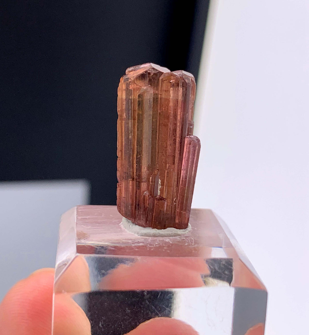 Rubelite Pink Tourmaline Crystal from Afghanistan - 14.05 Carats