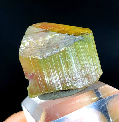 Natural Terminated Watermelon Tourmaline Crystal, Paprok Tourmaline, Raw Mineral, Tourmaline Gemstone, Crystal Specimen - 17 gram