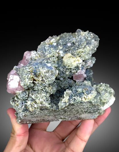 Pink apatite crystals on mica from Pakistan, 906 gram