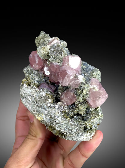 Pink apatite crystals on mica from Pakistan, 906 gram