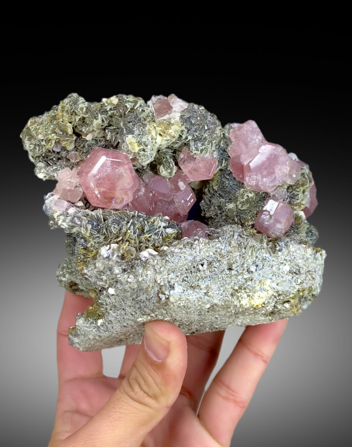Pink apatite crystals on mica from Pakistan, 906 gram