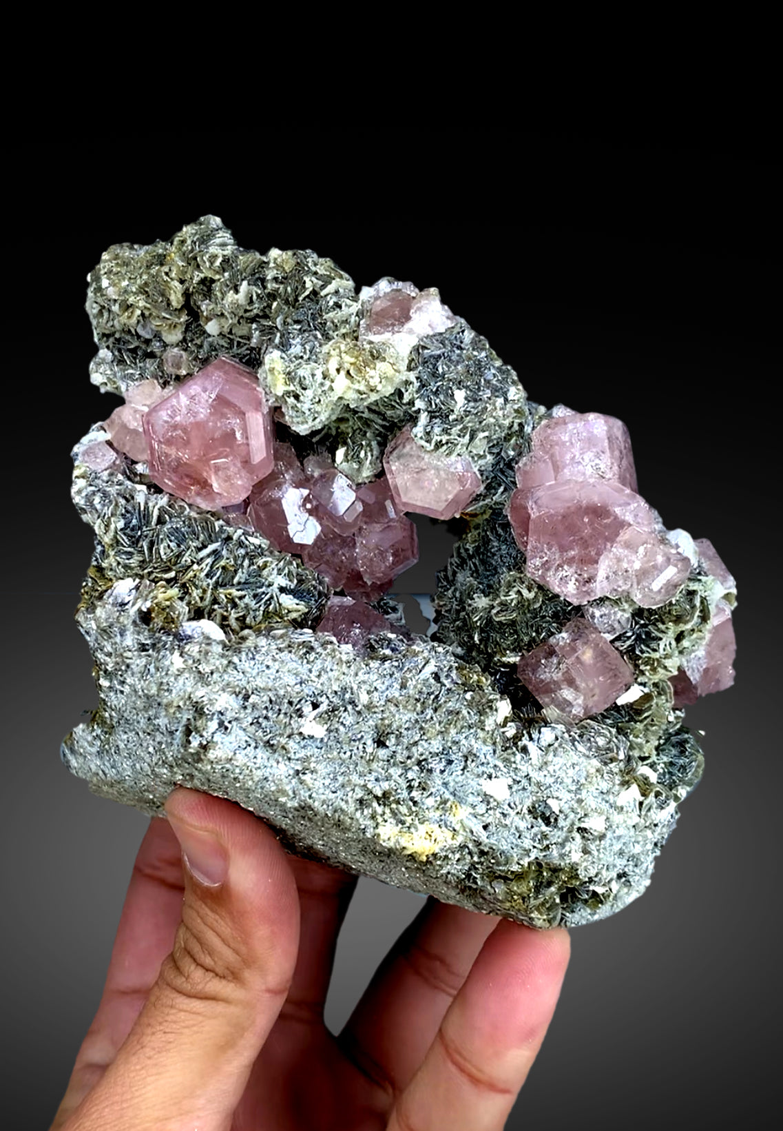 Pink apatite crystals on mica from Pakistan, 906 gram