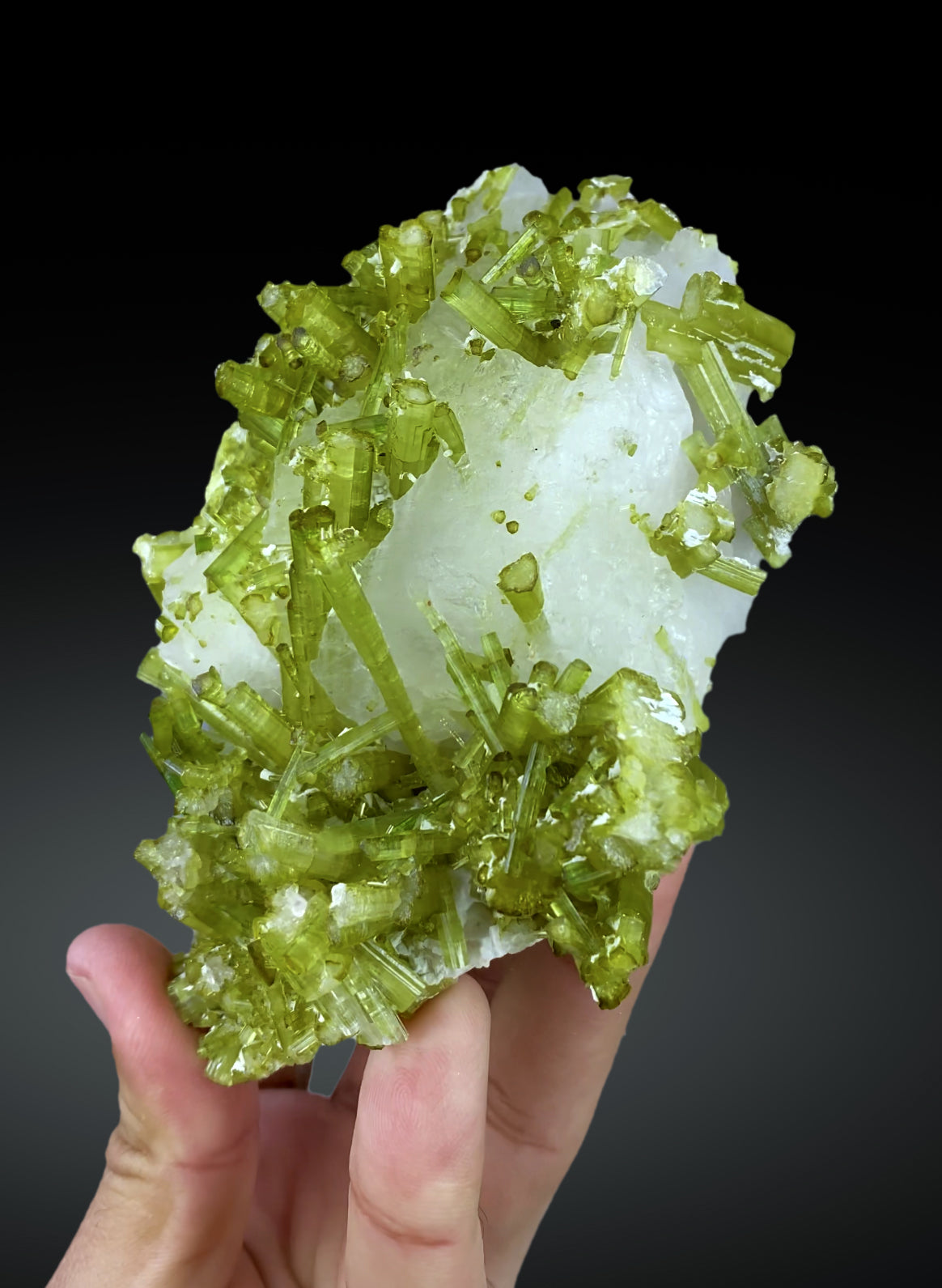 Green Tourmaline Crystals on Pollucite from Pakistan, 602 gram