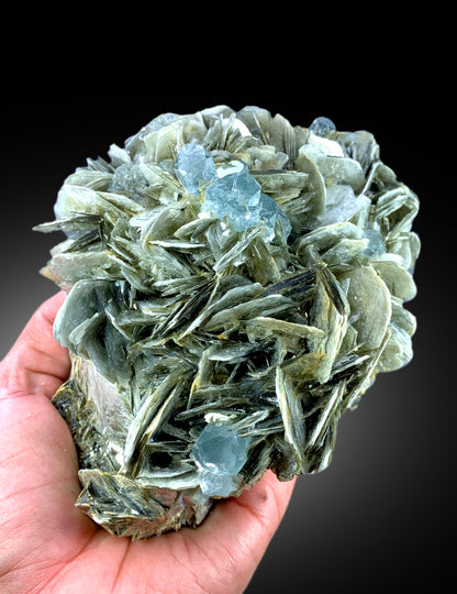 Natural Sky Blue Color Aquamarine Crystals with Muscovite Mica, Aquamarine Specimen, Aquamarine from Nagar Mine Skardu Pakistan - 1180 gram