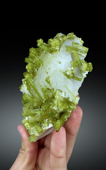 Green Tourmaline Crystals on Pollucite from Pakistan, 602 gram