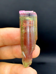 Tricolor Watermelon Tourmaline Crystal from Paprok Afghanistan - 90.45 carat