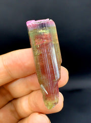 Tricolor Watermelon Tourmaline Crystal from Paprok Afghanistan - 90.45 carat