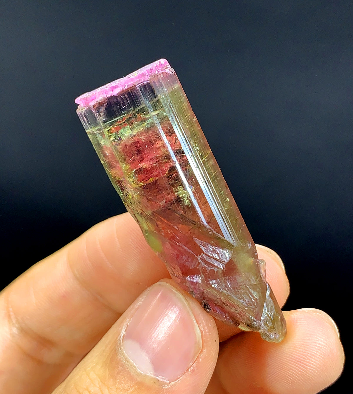 Tricolor Watermelon Tourmaline Crystal from Paprok Afghanistan - 90.45 carat