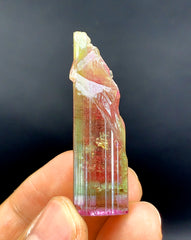 Tricolor Watermelon Tourmaline Crystal from Paprok Afghanistan - 90.45 carat