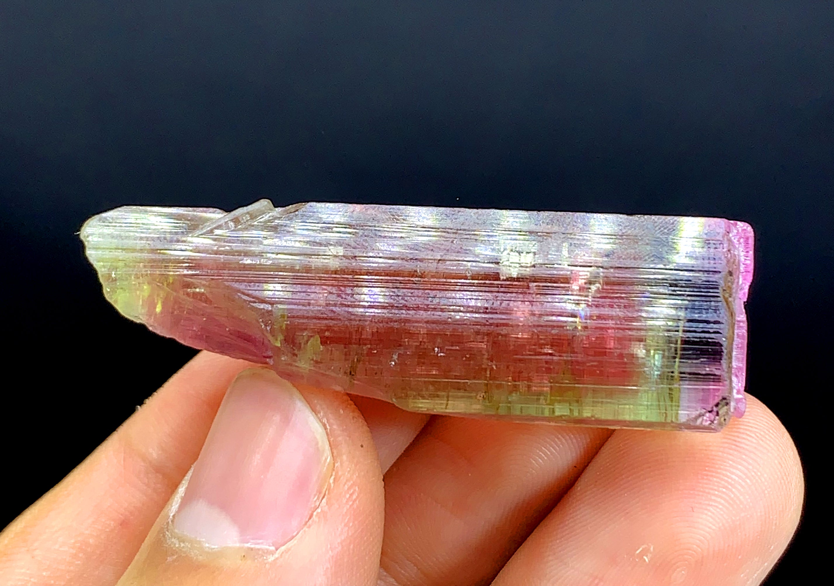 Tricolor Watermelon Tourmaline Crystal from Paprok Afghanistan - 90.45 carat