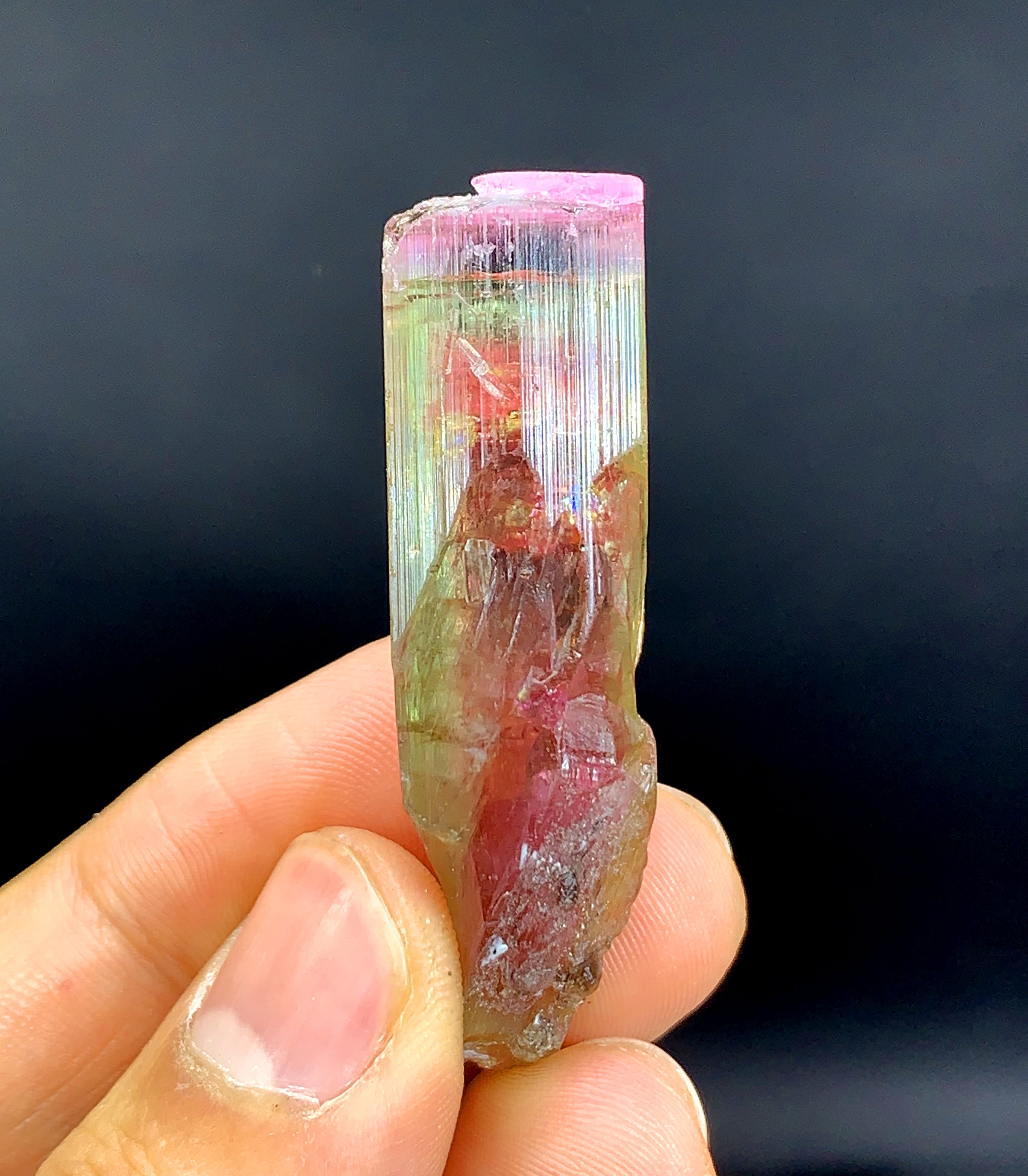 Tricolor Watermelon Tourmaline Crystal from Paprok Afghanistan - 90.45 carat