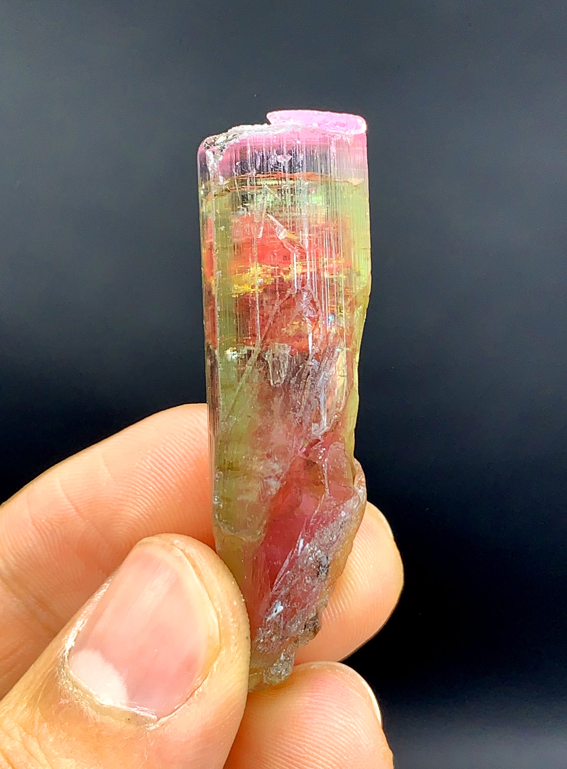 Tricolor Watermelon Tourmaline Crystal from Paprok Afghanistan - 90.45 carat