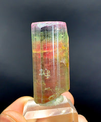 Tricolor Watermelon Tourmaline Crystal from Paprok Afghanistan - 128.15 carat