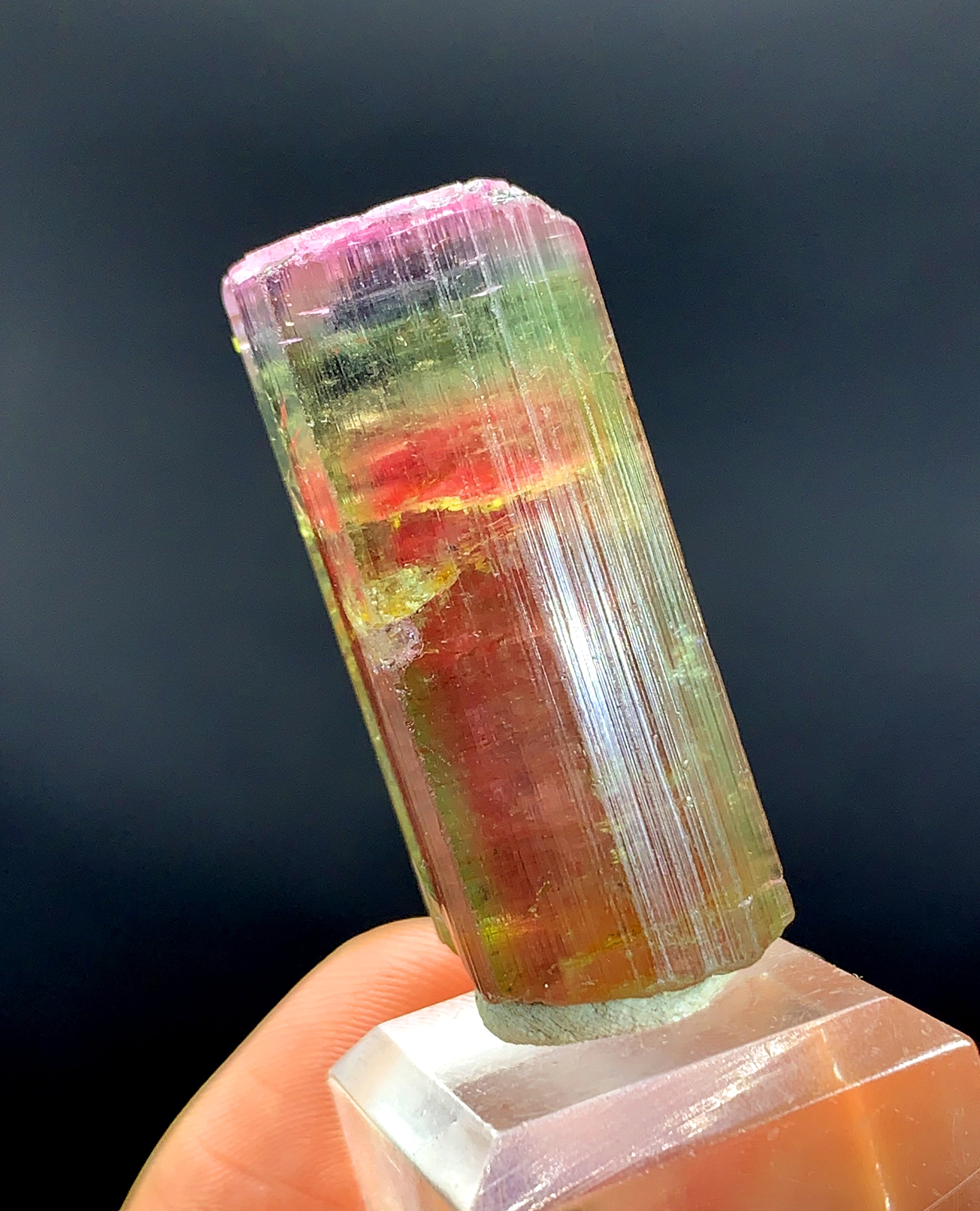 Tricolor Watermelon Tourmaline Crystal from Paprok Afghanistan - 128.15 carat