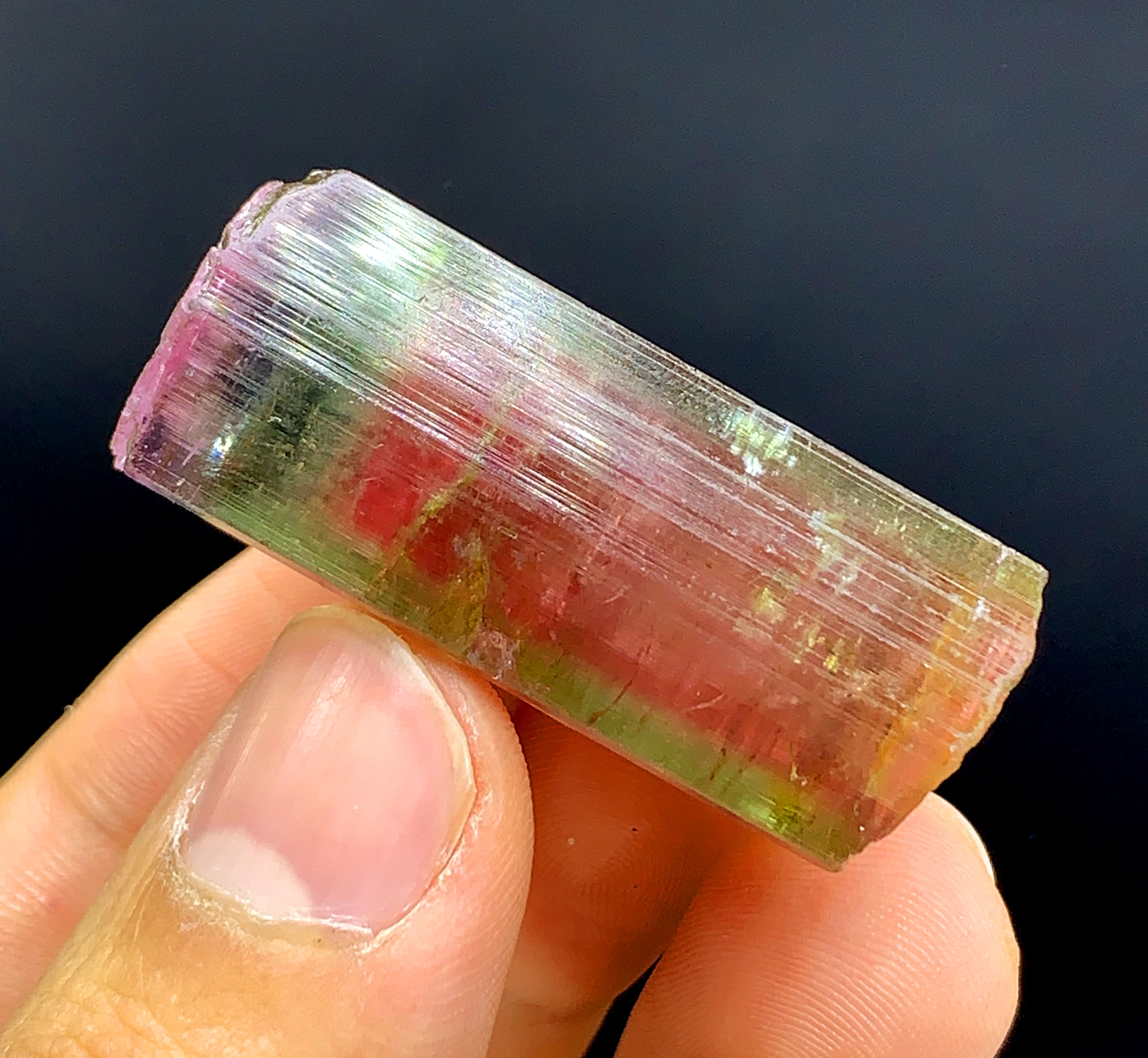 Tricolor Watermelon Tourmaline Crystal from Paprok Afghanistan - 128.15 carat